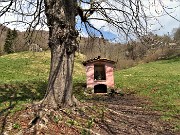 MONTE ZUCCO ad anello via linea tagliafuoco dalla Pernice (20apr21) - FOTOGALLERY